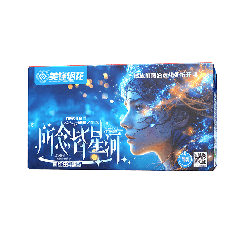 96发所念皆星河